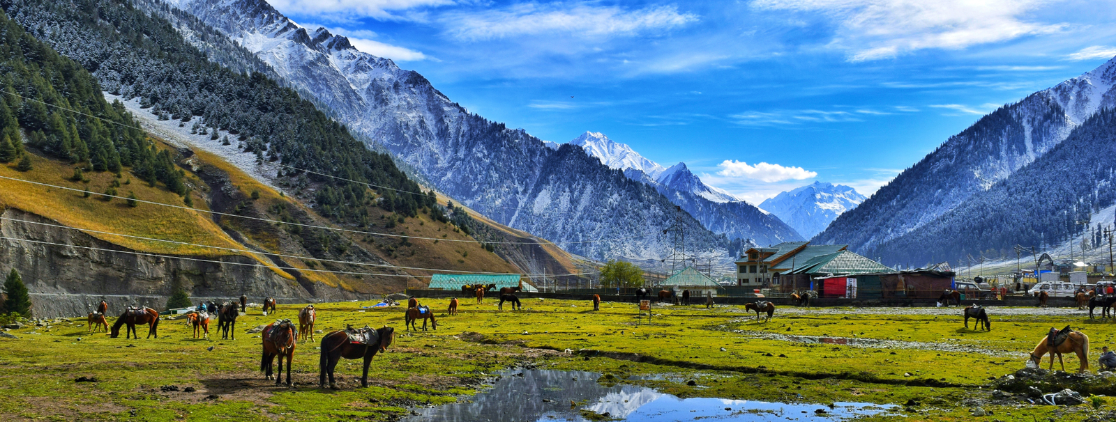 Warwan Valley Panikhar Trek